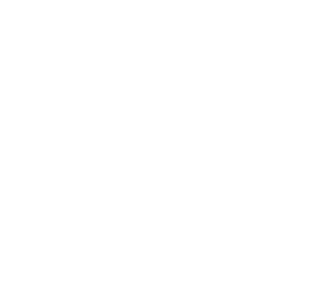 Flux Intelligence Group